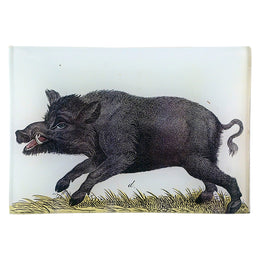 A Boar - FINAL SALE