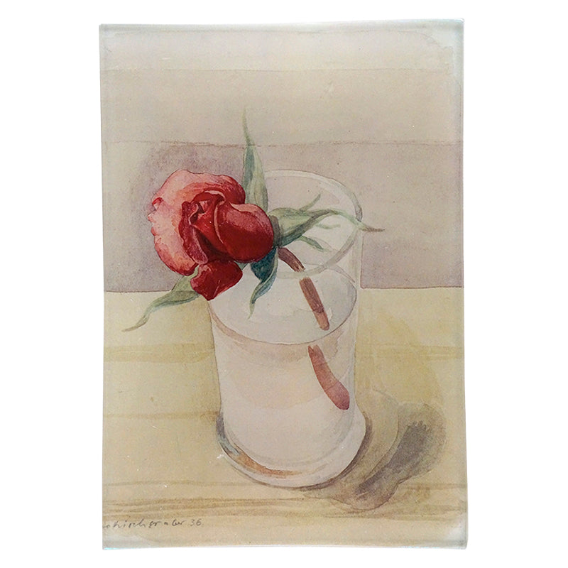 An illustration of a single rose in a glass of water on a three and a half inch by six and a half inch glass tray. 