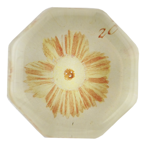 Auricula #28 - FINAL SALE