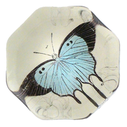 OCP-Light-Blue-Butterfly_260x. OCP-Light-Blue-Butterfly_260x.