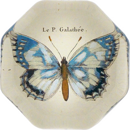 Butterfly Fig. 4