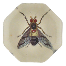 Hoverfly - FINAL SALE