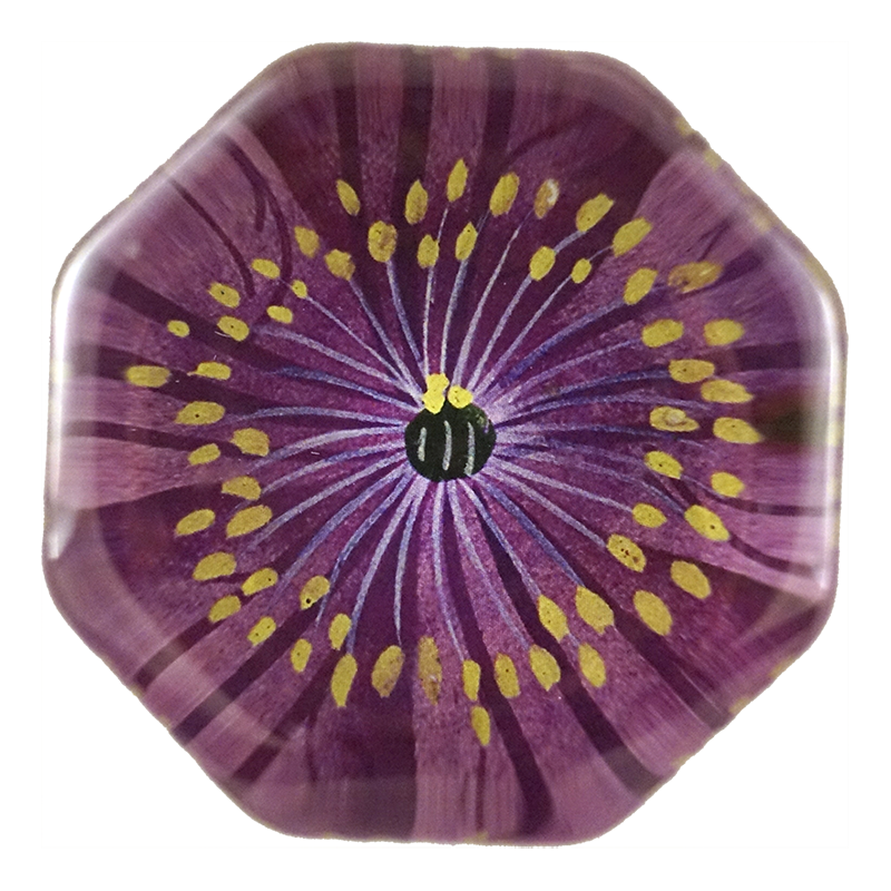 Jackmanii Clematis