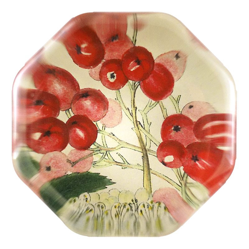 Mountain Ash Berries