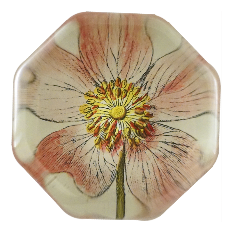Rosa Canin