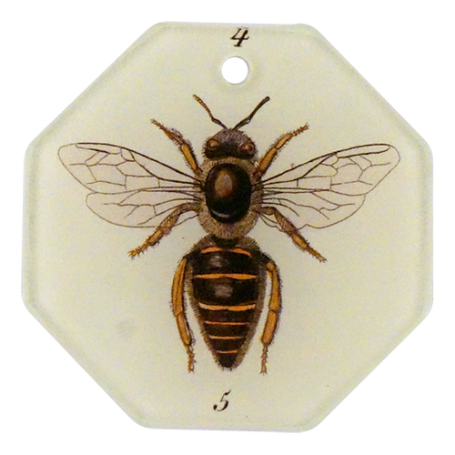Bee #5