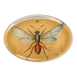 140 Insects A - FINAL SALE