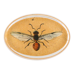 140 Insects I - FINAL SALE