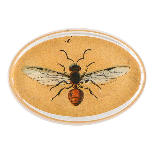 140 Insects I - FINAL SALE