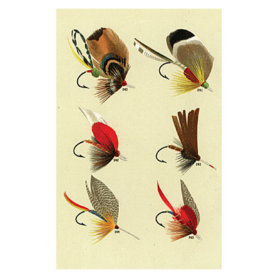 Bass Flies #240