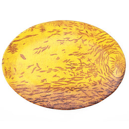 Yellow Melo Pepo Platter