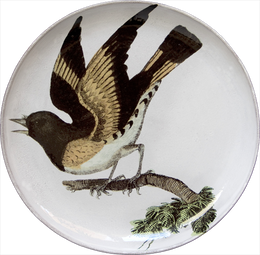 American Red Start (Facing Left) Round Platter