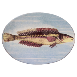 Painted Fish H Oval Plate