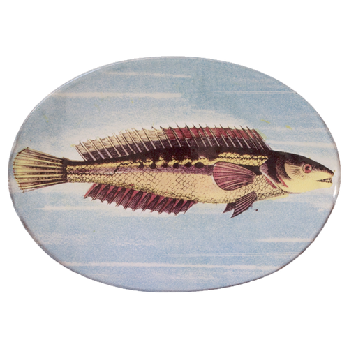 Painted Fish H Oval Plate