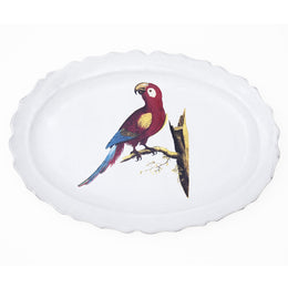 Parrot Max Platter