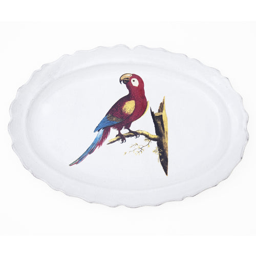 Parrot Max Platter
