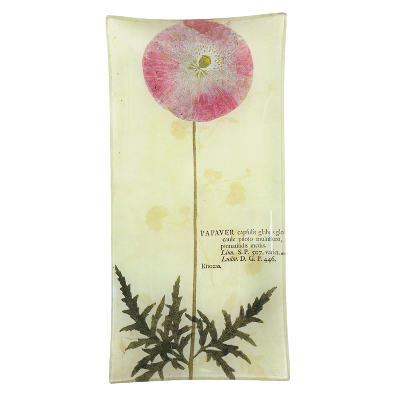 Pink Poppy