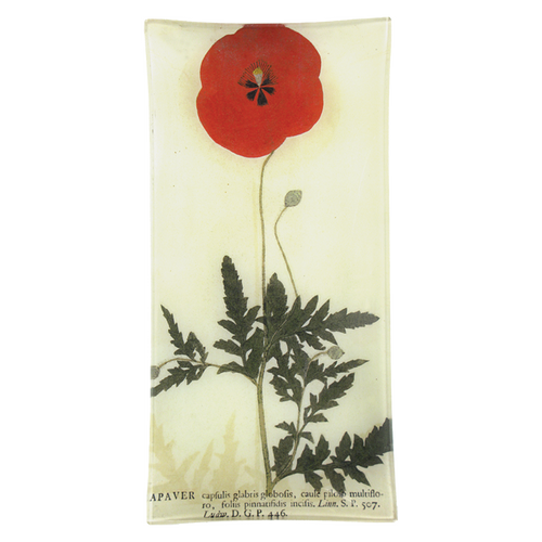 Red Poppy - FINAL SALE