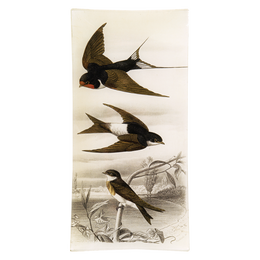 Swallows (3 Birds) - FINAL SALE