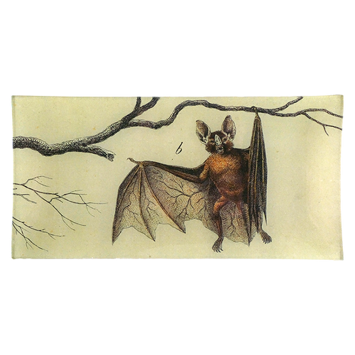 Hanging Bat B
