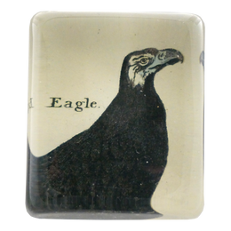 Eagle - FINAL SALE