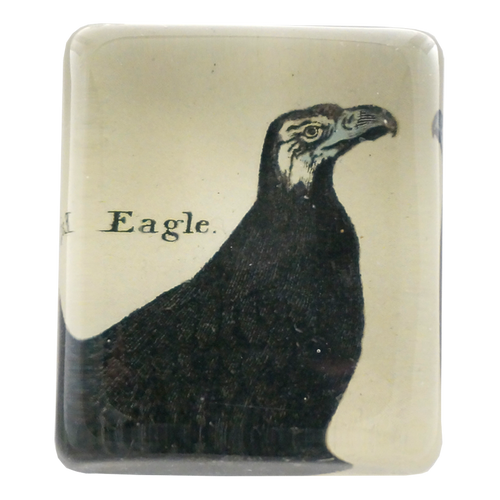 Eagle - FINAL SALE