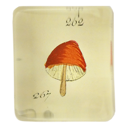 Orange Mushroom - FINAL SALE
