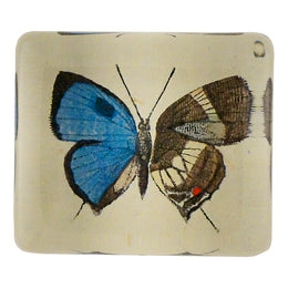 Pelion (Butterfly) - FINAL SALE
