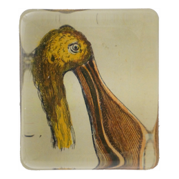 Yellow Billed Bird Fig 32 - FINAL SALE