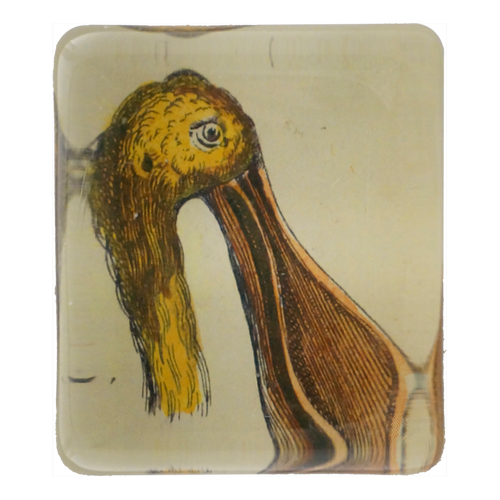 Yellow Billed Bird Fig 32 - FINAL SALE