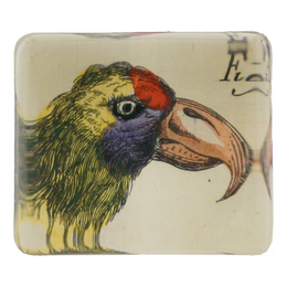 Yellow Red Bird - FINAL SALE