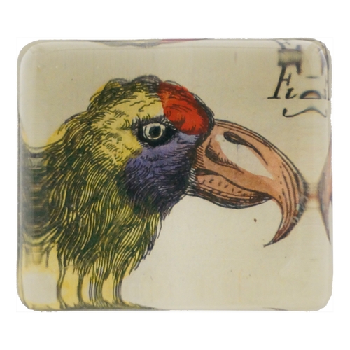 Yellow Red Bird - FINAL SALE
