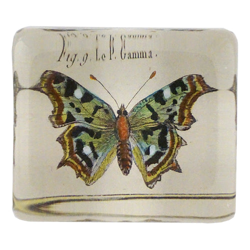 Fig. 9 Butterfly