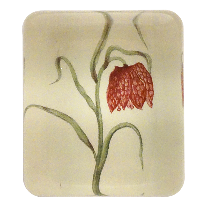 Fritillary