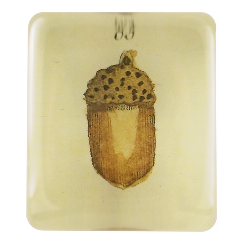 Acorn - FINAL SALE