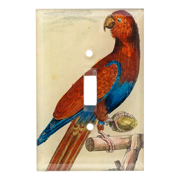 Parrot #5
