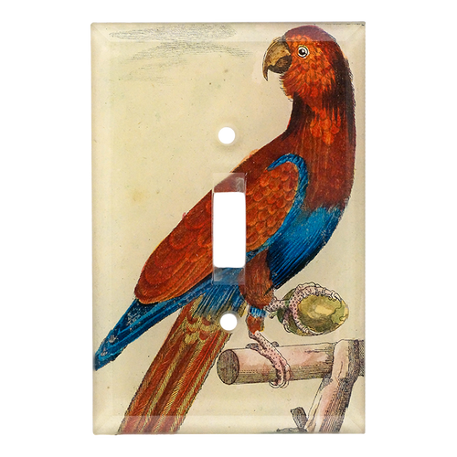 Parrot #5