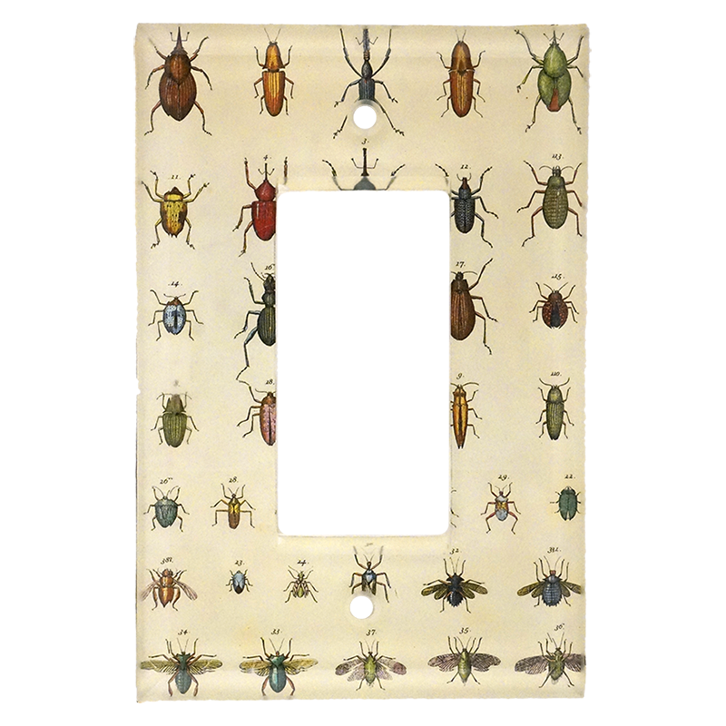 Torn Insects