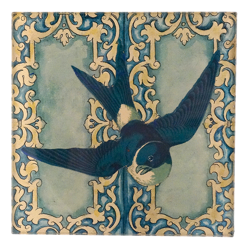 Blue Swallow