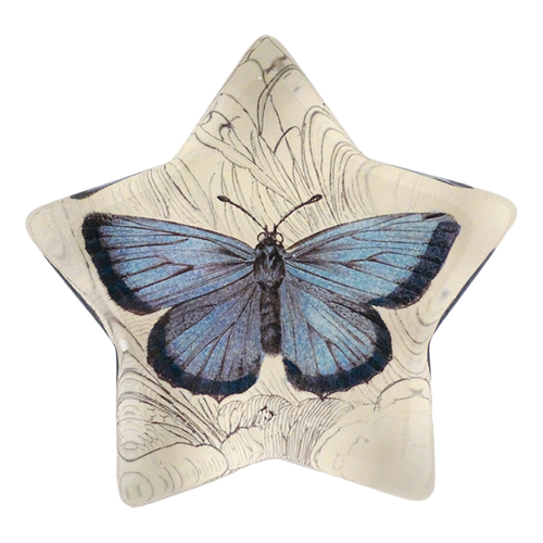 Blue & Black Butterfly - FINAL SALE
