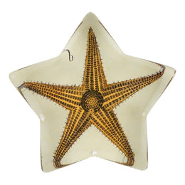 Longpoint Starfish - FINAL SALE