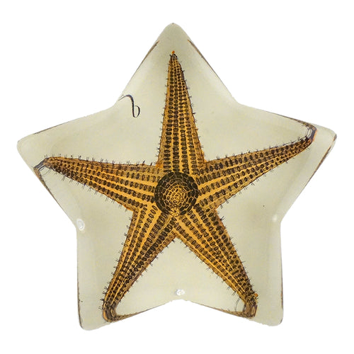 Longpoint Starfish