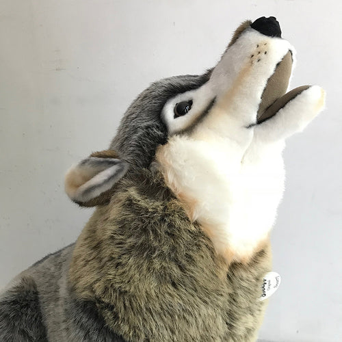 Studio Wolf