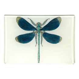 A rectangle handmade decoupage sale item titled Dragonfly Pin-Up