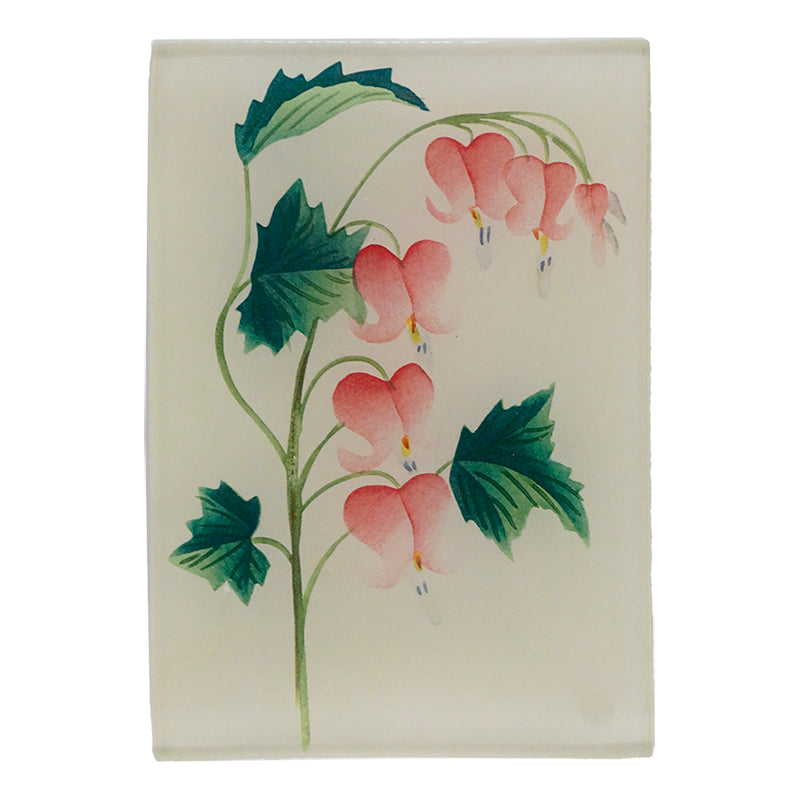 Pink bleeding heart flowers and green leaves on a three and a half inch by five inch glass tray. 