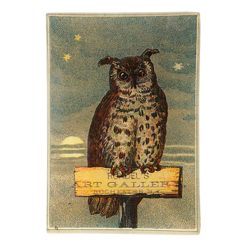 john derian Owl Gallery 3.5 x 5 john derian Owl Gallery 3.5 x 5
