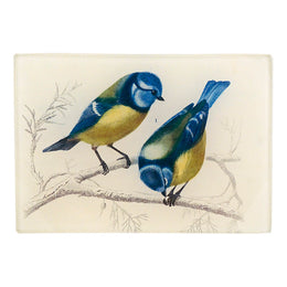 Yellow-Breasted Blue Tit - FINAL SALE