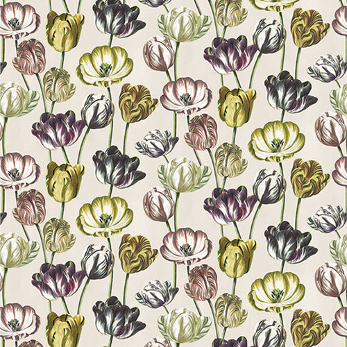 Variegated Tulips Buttermilk