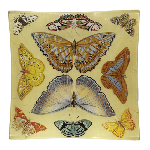 VP-butterflycollection_2_500x. VP-butterflycollection_2_500x.