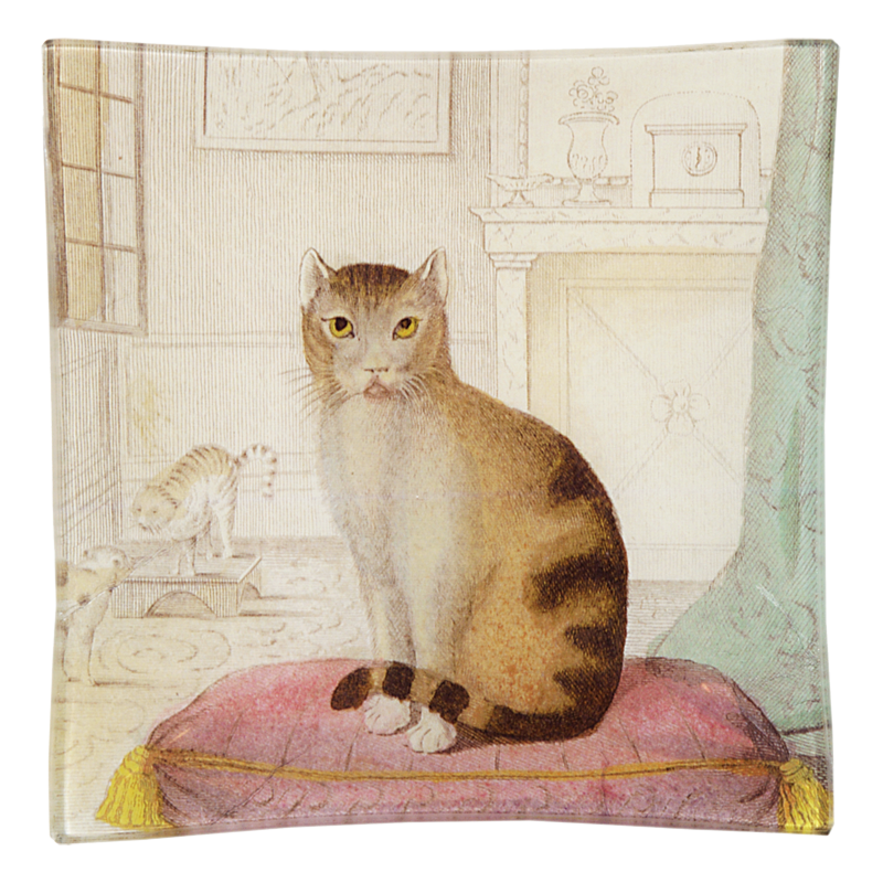 Calm Cat